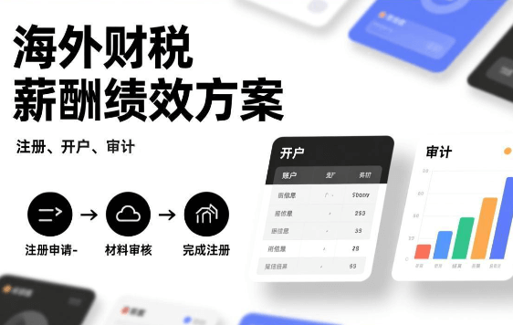 海外财税服务薪酬绩效优化服务项目【JT202209】