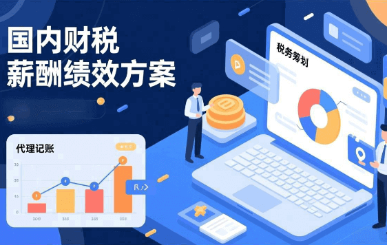 国内财税服务薪酬绩效优化服务项目【JT202203】