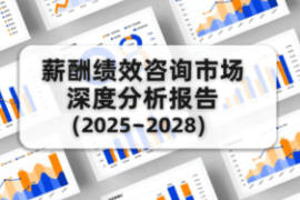 薪酬绩效咨询市场深度分析报告（2025–2028）